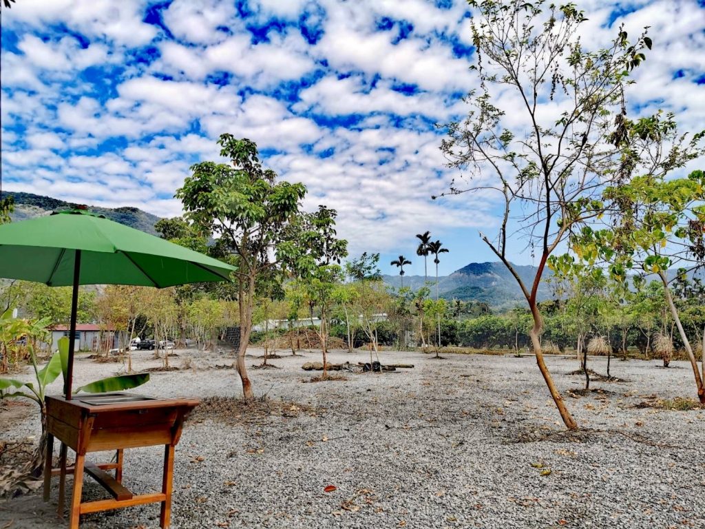 孩子放電、爸媽充電！高雄親子露營5選，假日比去樂園還快樂