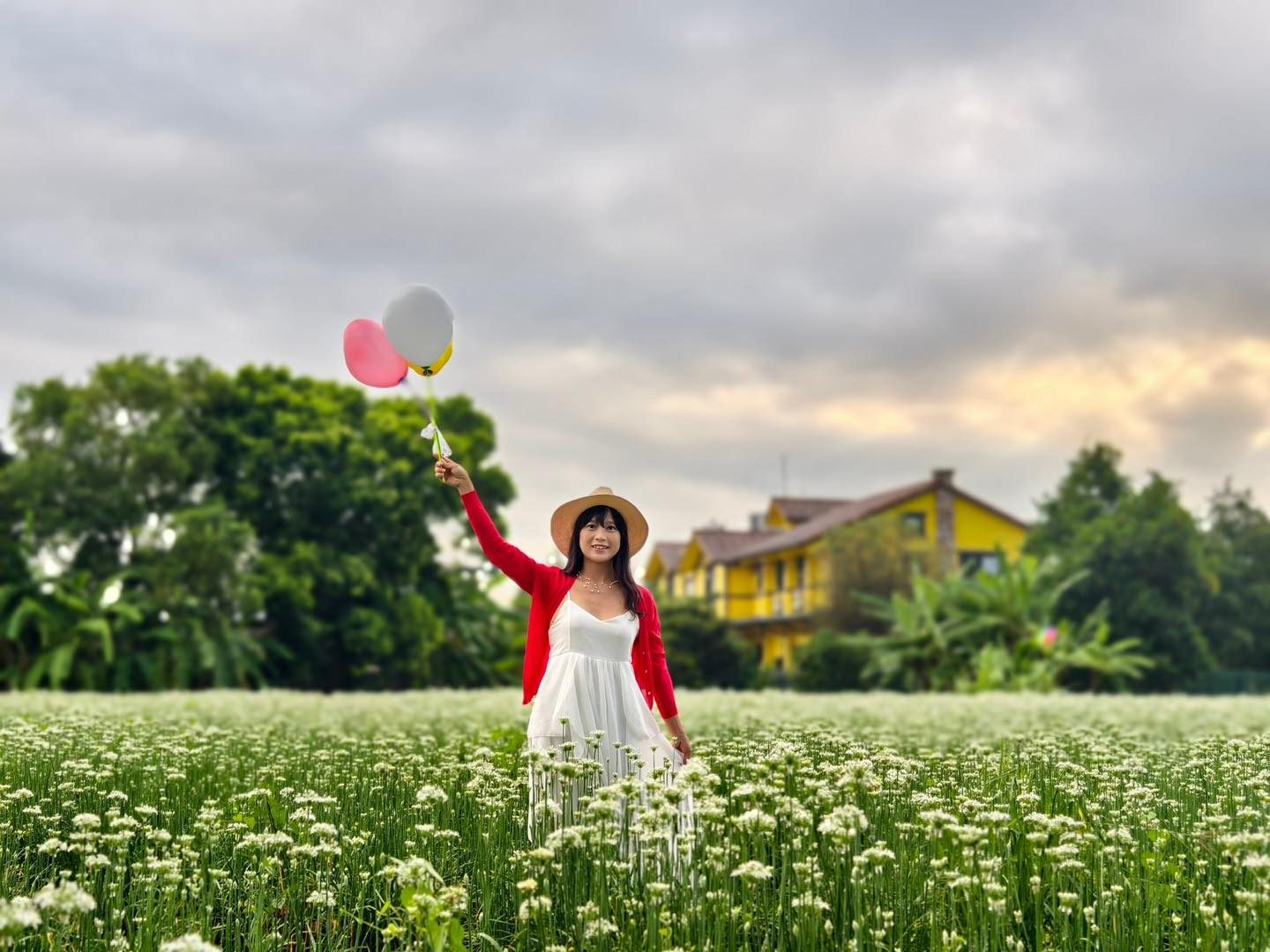 白茫茫一片不是下雪!大溪韭菜花季夢幻登場,附上順遊 4 大必訪景點