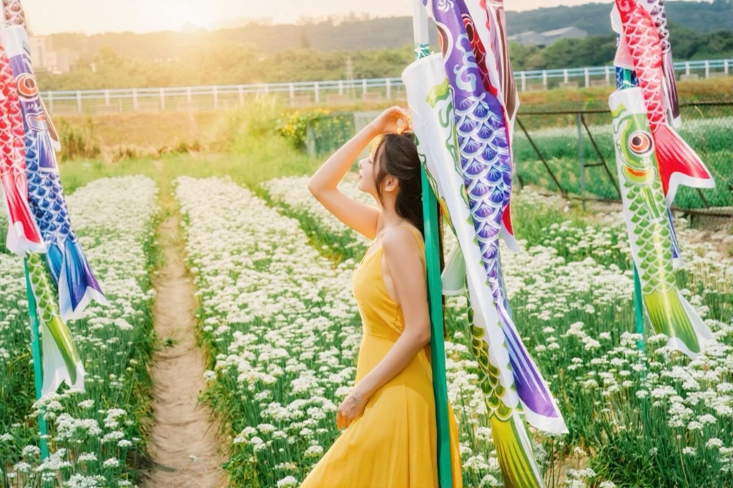 白茫茫一片不是下雪!大溪韭菜花季夢幻登場,附上順遊 4 大必訪景點