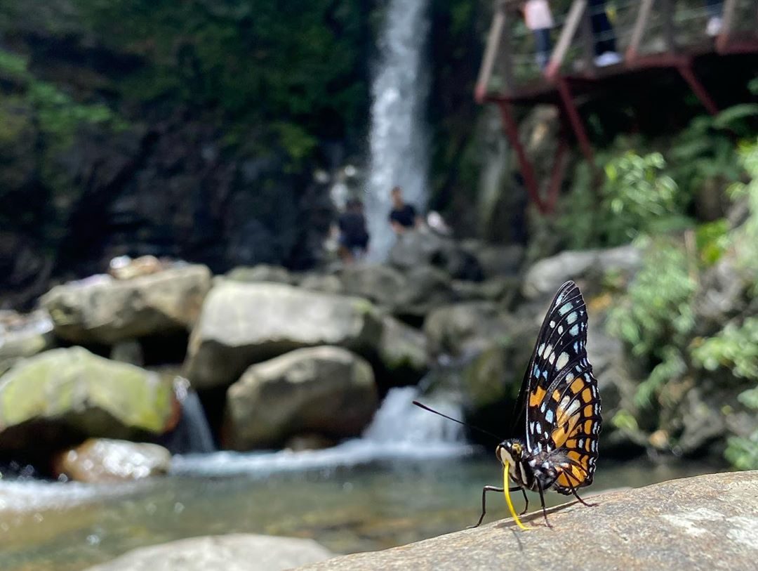 《泡在雲端的假期》｜谷關四季溫泉會館，山谷美人湯帶你解鎖身心的「續命泉」