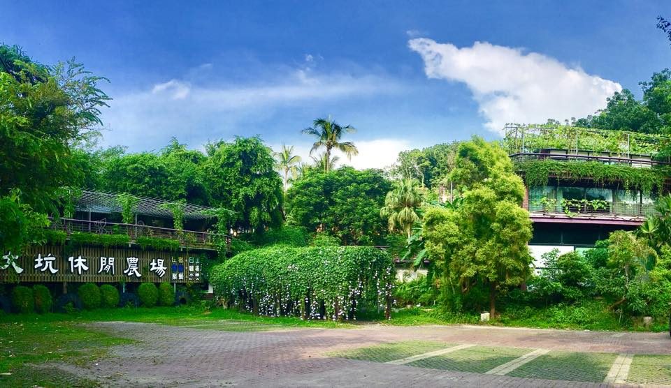 《台南大坑休閒農場》滑出你的快樂！高空滑車＋紫藤花海，美照與冒險一次滿足