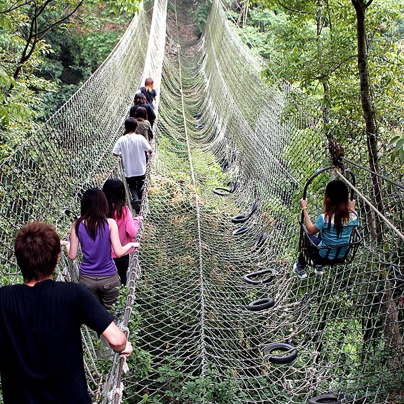 《台南大坑休閒農場》滑出你的快樂！高空滑車＋紫藤花海，美照與冒險一次滿足
