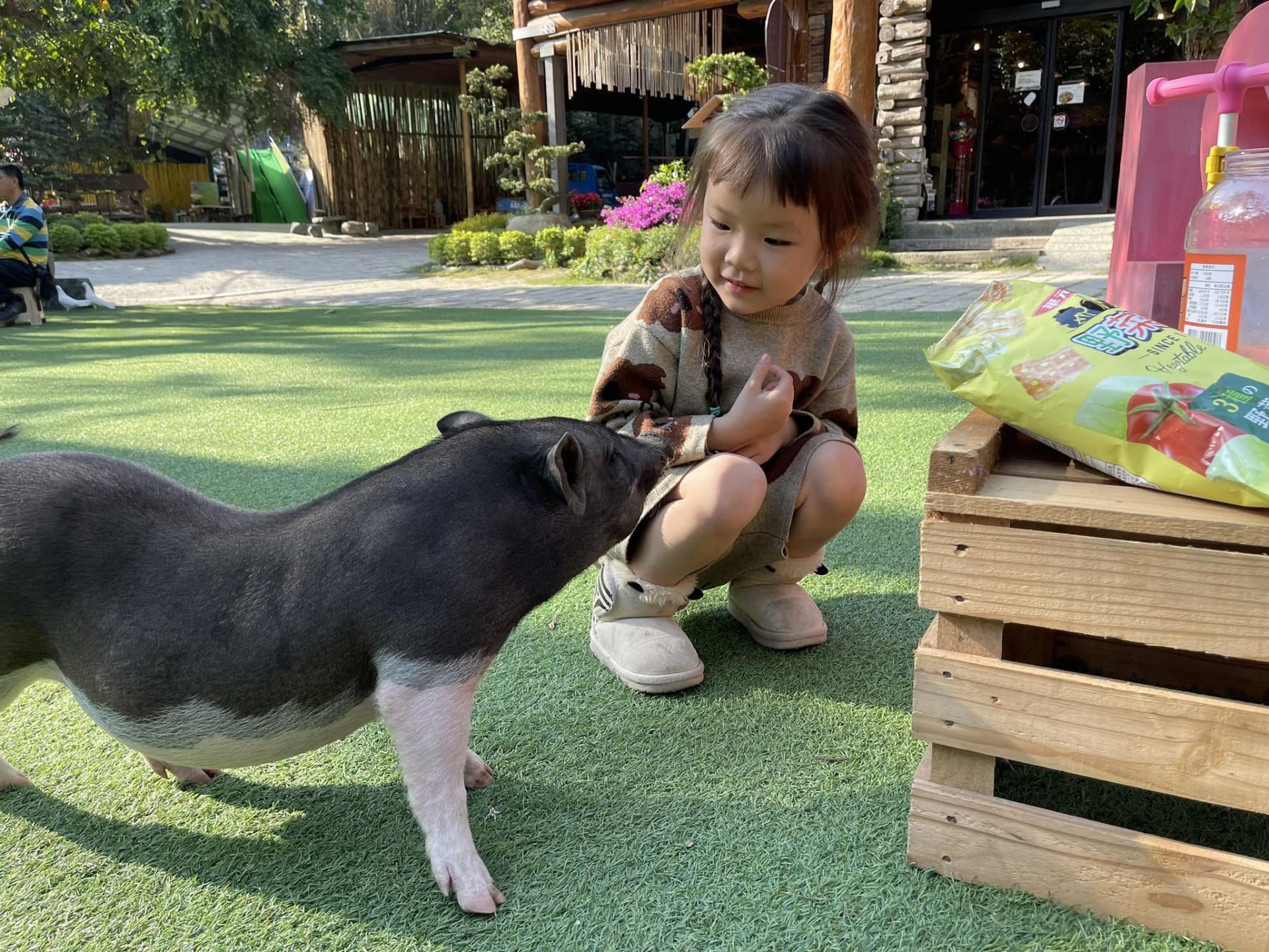 《台南大坑休閒農場》滑出你的快樂！高空滑車＋紫藤花海，美照與冒險一次滿足