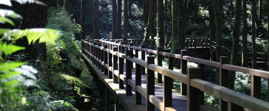 阿里山賓館完整攻略|如何在此體驗絕美日出與回憶難忘的山林假期