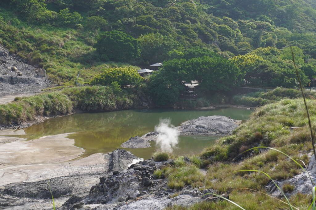 走進雲端草原！陽明山竹子湖花海＋七星山步道，一日拍滿夢幻美照