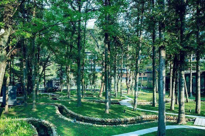 「躲進雲霧裡開房間」｜虹夕諾雅谷關，連山林都替你打光的溫泉劇場