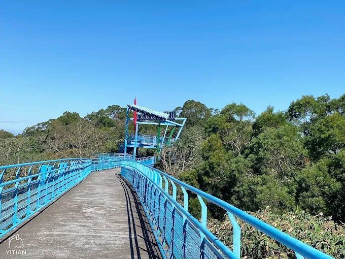苗栗免費景點5選｜不花錢也能走光影隧道：百年紅磚、古厝市集、茶園天空線