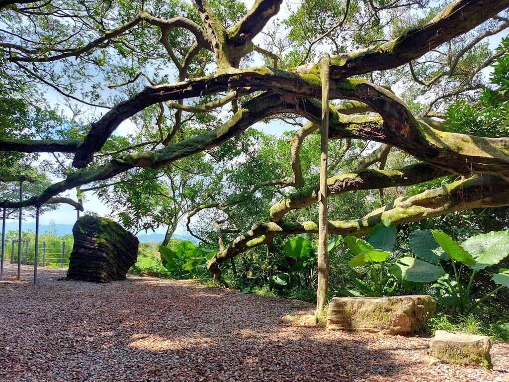 秋天一定要去新北！漫步碧潭水岸、追逐山頂芒草浪，5 個景點全收錄