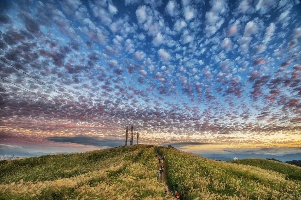 秋天一定要去新北！漫步碧潭水岸、追逐山頂芒草浪，5 個景點全收錄