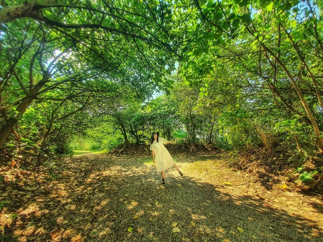 秋天一定要去新北！漫步碧潭水岸、追逐山頂芒草浪，5 個景點全收錄