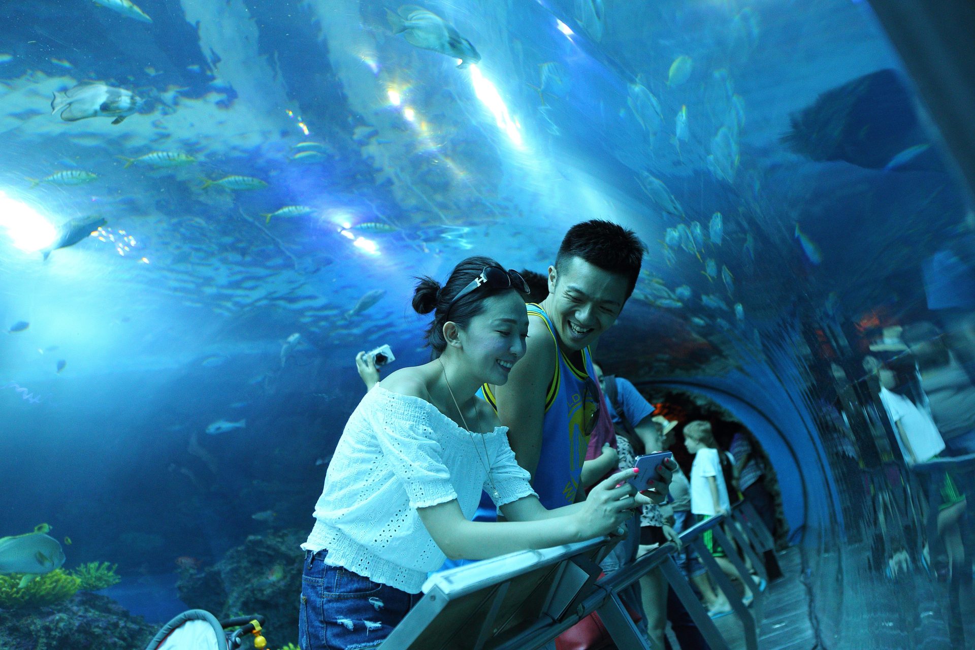 親子最愛的「海底遊樂園」！台灣 5 大水族館一次看透透