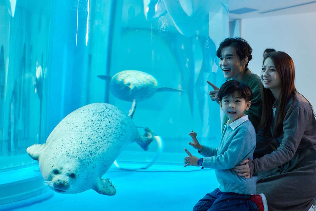 親子最愛的「海底遊樂園」！台灣 5 大水族館一次看透透