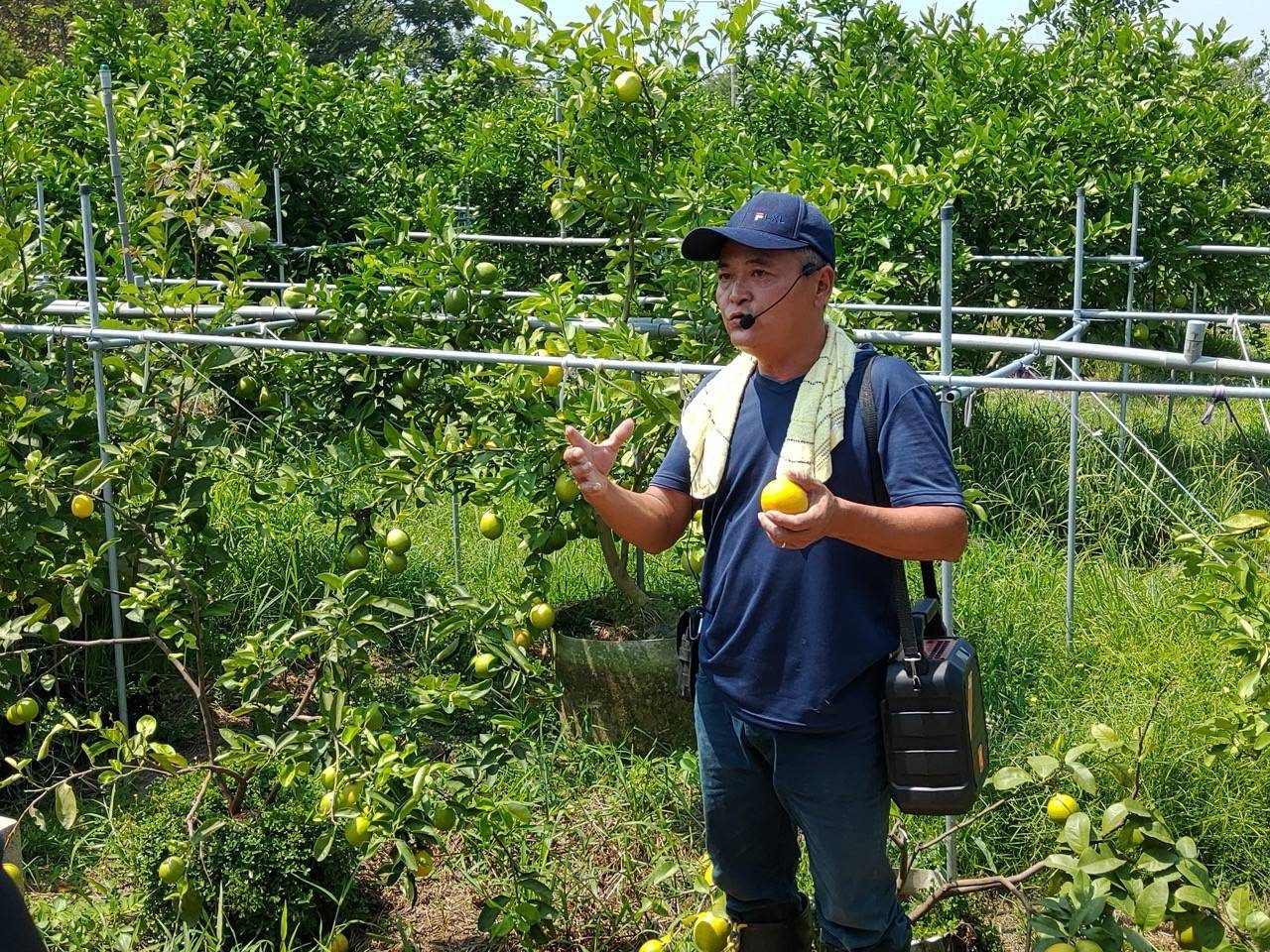 走進台中「檸檬森林」:一場酸甜到心裡的親子小旅行