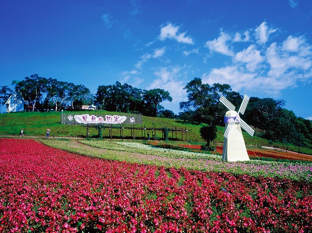 大溪一日遊打卡點：在「花鹿秘境」與梅花鹿、草原、花海不期而遇