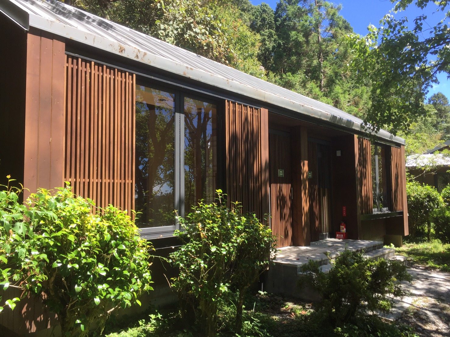 清晨沿著山路走進宜蘭太平山，在雲霧與檜木香氣中慢慢展開一段森林旅程