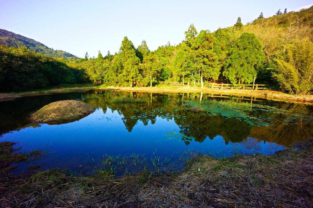 一天玩遍山、街、海｜北台灣最美自駕線：陽明山冷水坑到三貂角燈塔