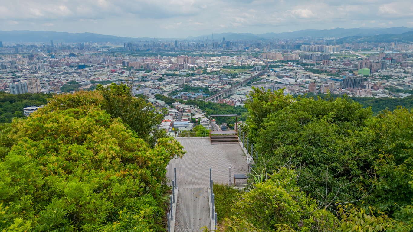 台北不只小巨蛋!雙北最強一日遊行程|落羽松、神社遺跡、百萬夜景