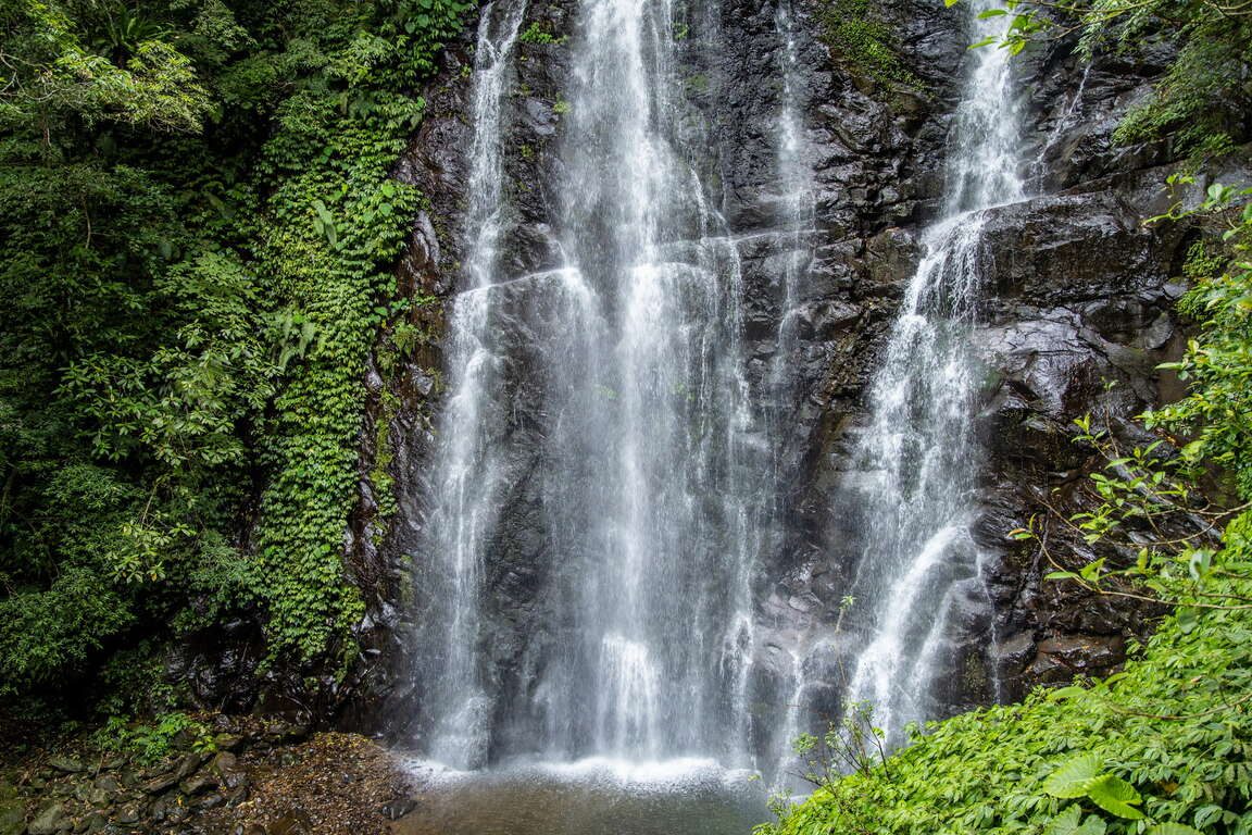 春日走進新北山林步道，在滿月圓瀑布與千島湖茶園之間慢慢呼吸