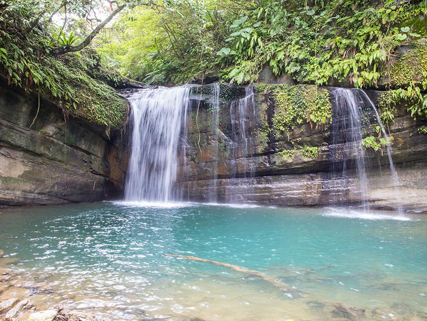春日走進新北山林步道，在滿月圓瀑布與千島湖茶園之間慢慢呼吸