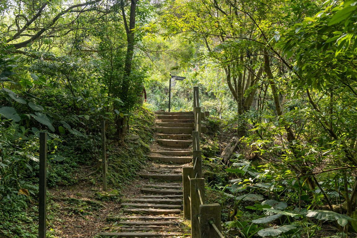 春日走進新北山林步道，在滿月圓瀑布與千島湖茶園之間慢慢呼吸