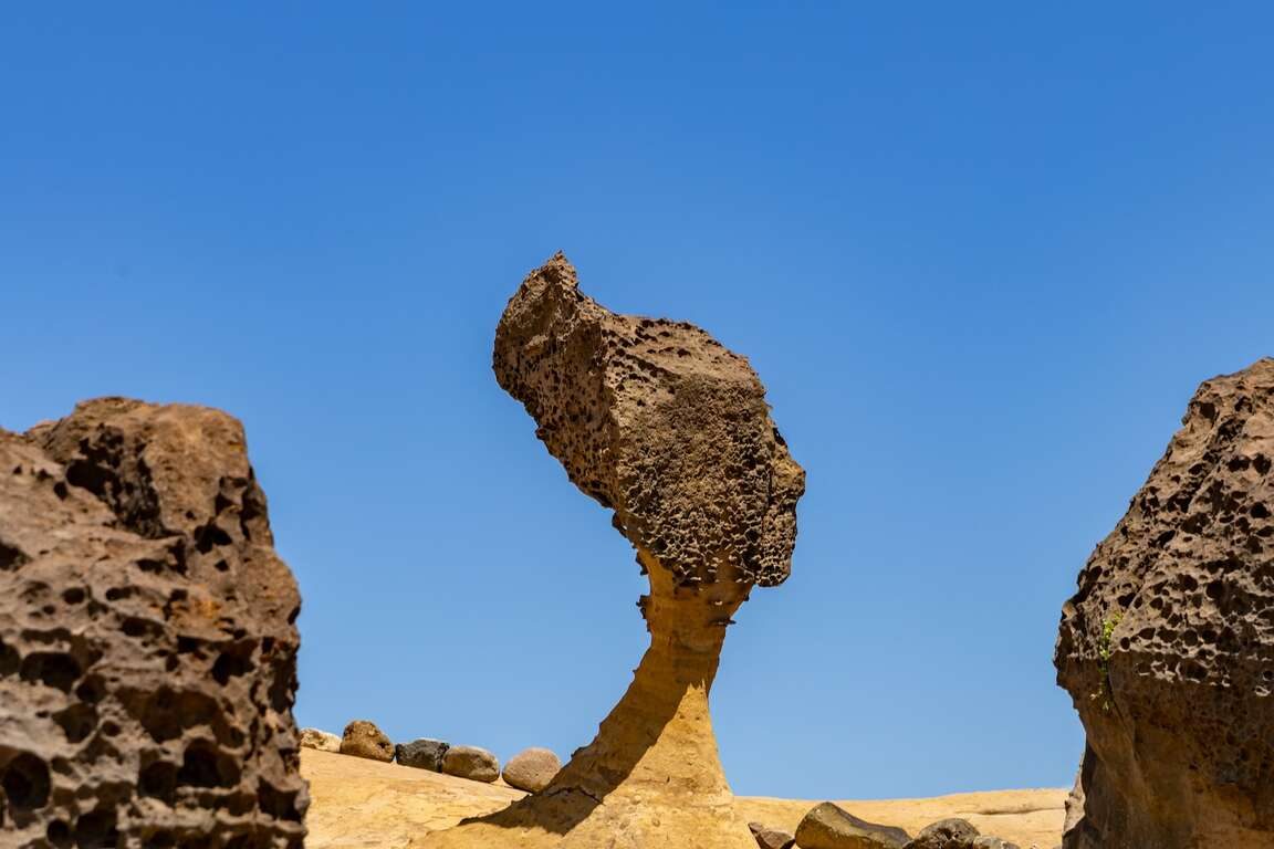 「北海岸一日遊就決定是你了！」｜野柳奇岩、金山鴨肉、淡水夕陽，三招解鎖假日疲憊