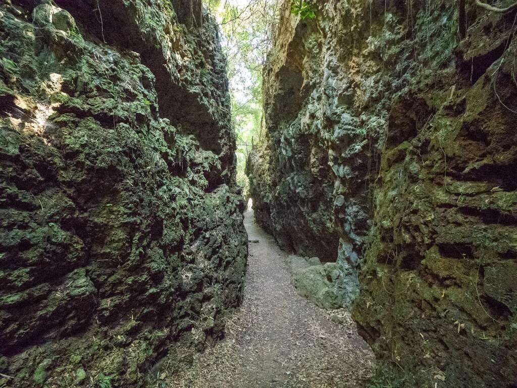 高雄岡山一日遊｜從大崗山健行到老街小吃，收集滿滿旅途回憶