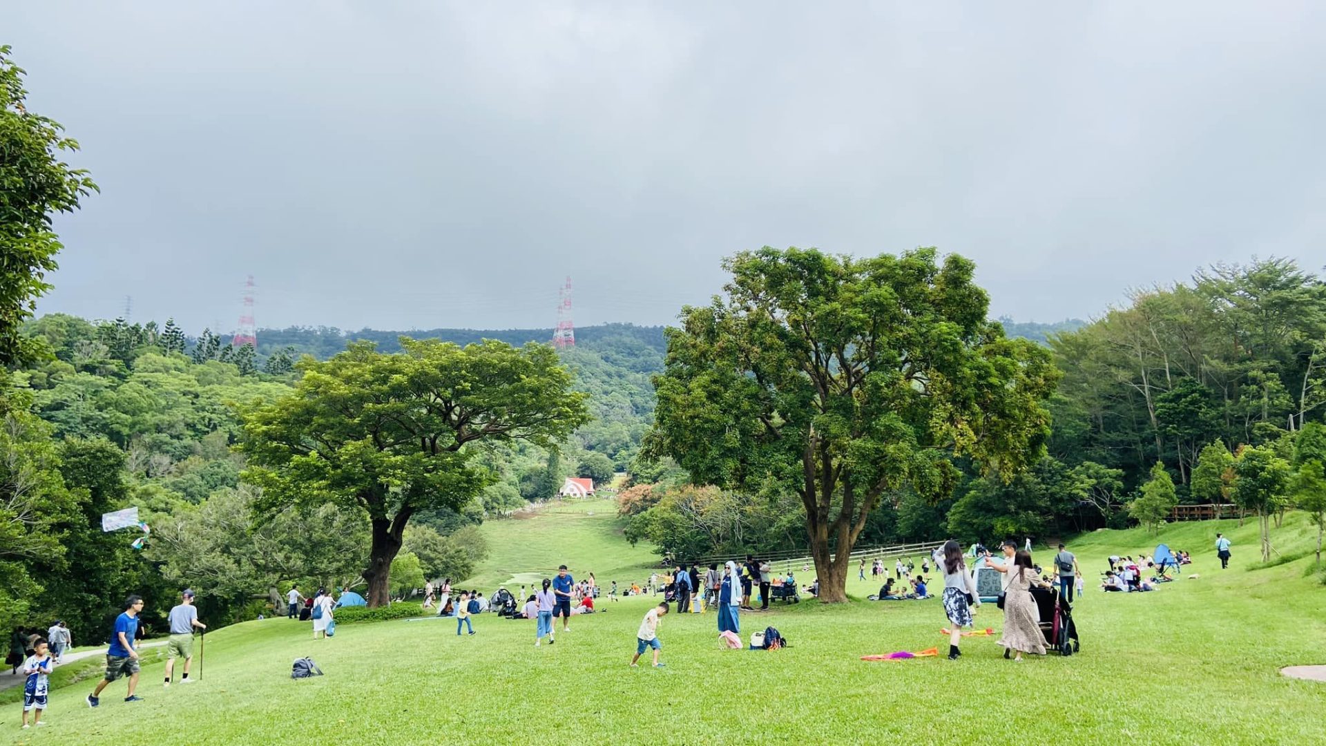 孩子放假去哪？飛牛牧場變身「動物教室」，DIY 體驗＋鮮奶冰淇淋全收錄