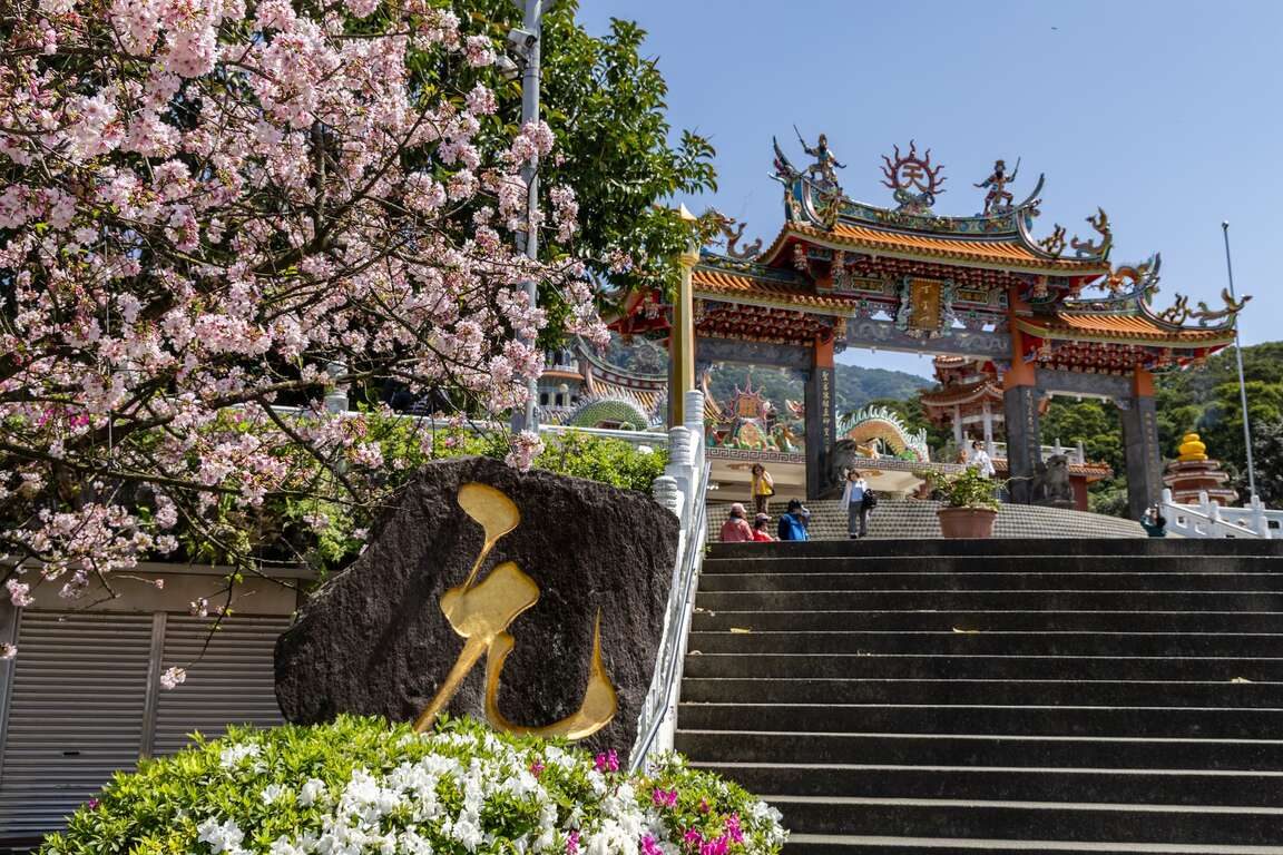 台北不只小巨蛋!雙北最強一日遊行程|落羽松、神社遺跡、百萬夜景