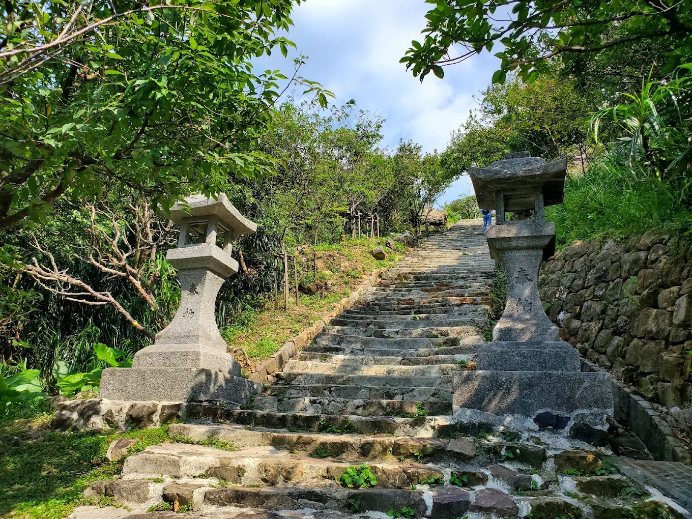 台北不只小巨蛋!雙北最強一日遊行程|落羽松、神社遺跡、百萬夜景
