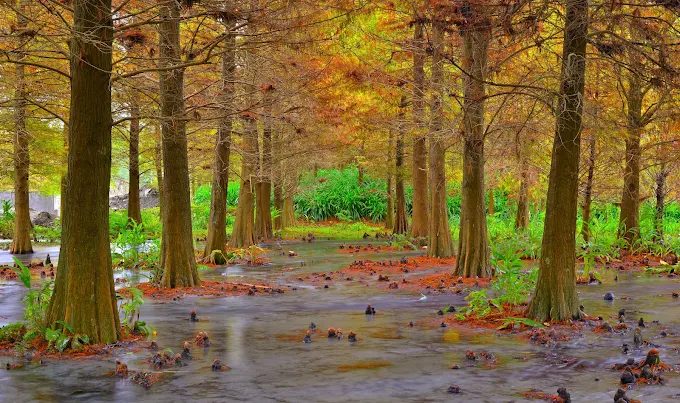 花蓮景點推薦雲山水夢幻湖｜夢幻湖泊、美拍秘境、交通全攻略