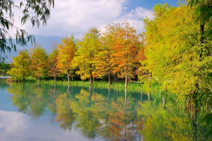 花蓮景點推薦雲山水夢幻湖|夢幻湖泊、美拍秘境、交通全攻略