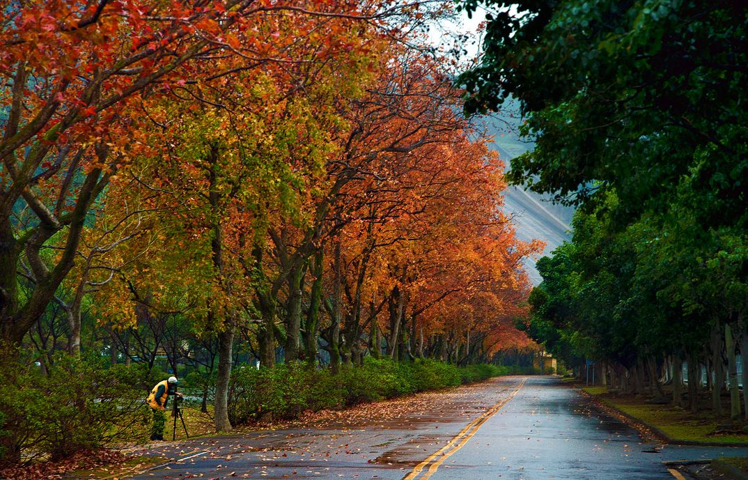 桃園人的小日子儀式感｜石門水庫活魚宴＋觀景步道，把假期過成一幅畫
