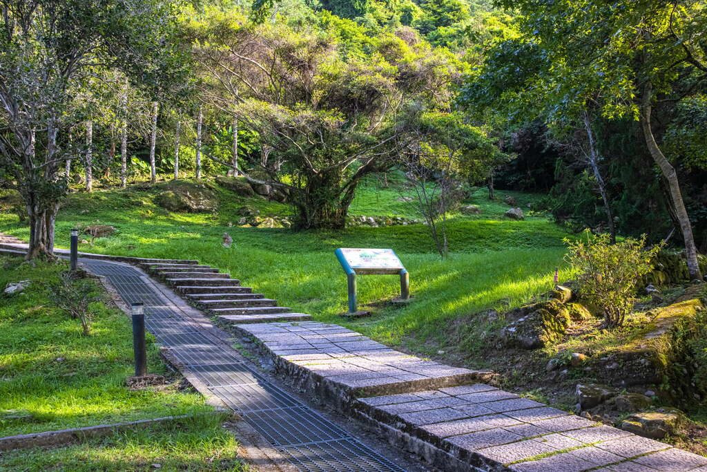 桃園人的小日子儀式感｜石門水庫活魚宴＋觀景步道，把假期過成一幅畫