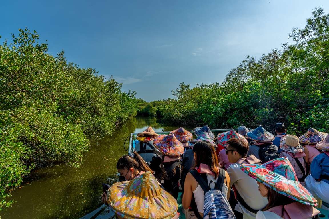 台南四草綠色隧道旅遊攻略｜竹筏穿梭紅樹林的隱秘秘境