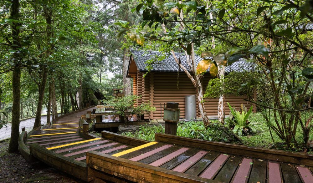 當霧氣貼近樹梢，在明池國家森林遊樂區遇見一座靜靜呼吸的高山湖泊