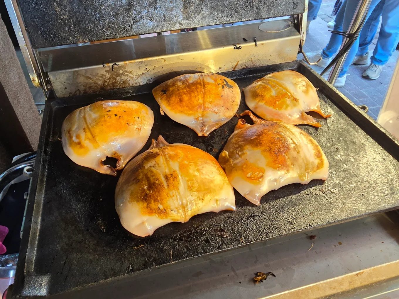 魷布院 Squid Courtyard｜原味烤魷魚 × 海味職人精神