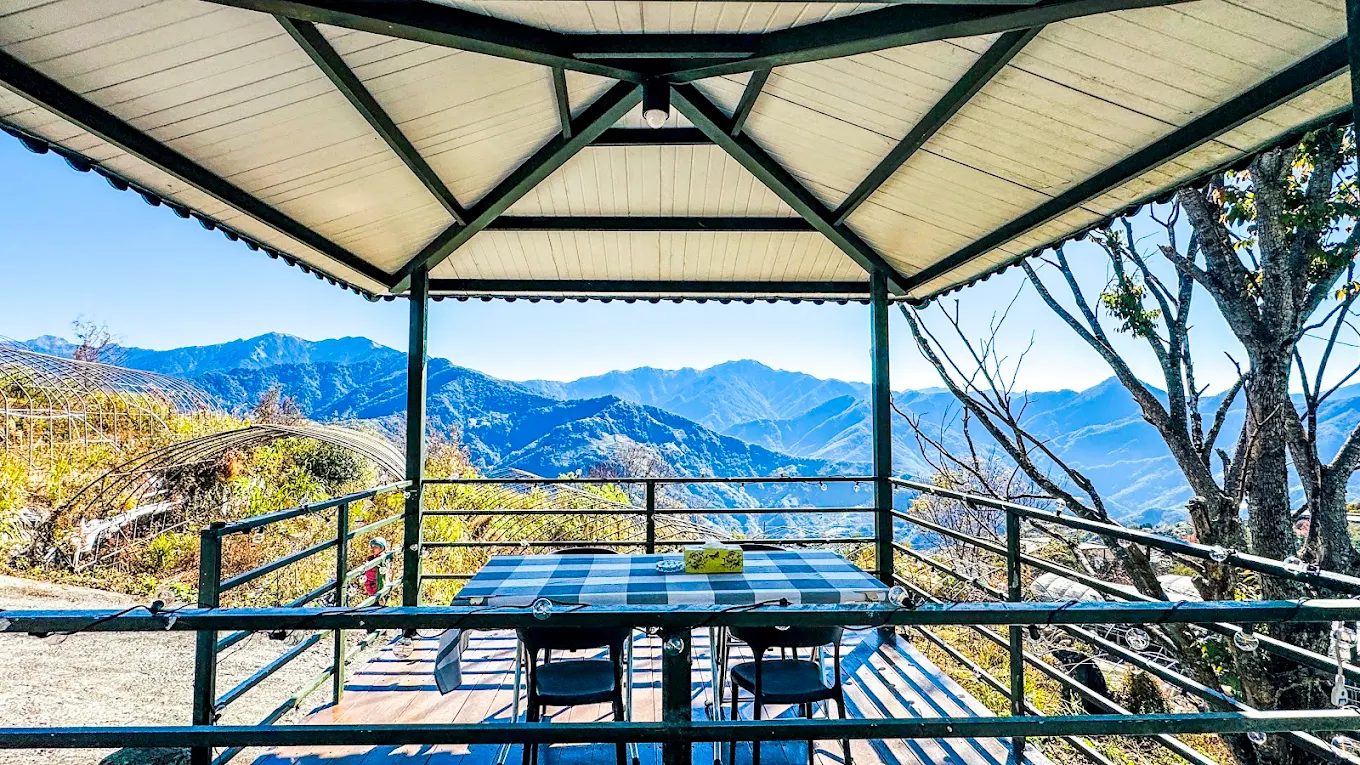 【清境觀星住宿推薦】31 民宿｜與星空、雲海、多肉花園相伴的山居時光