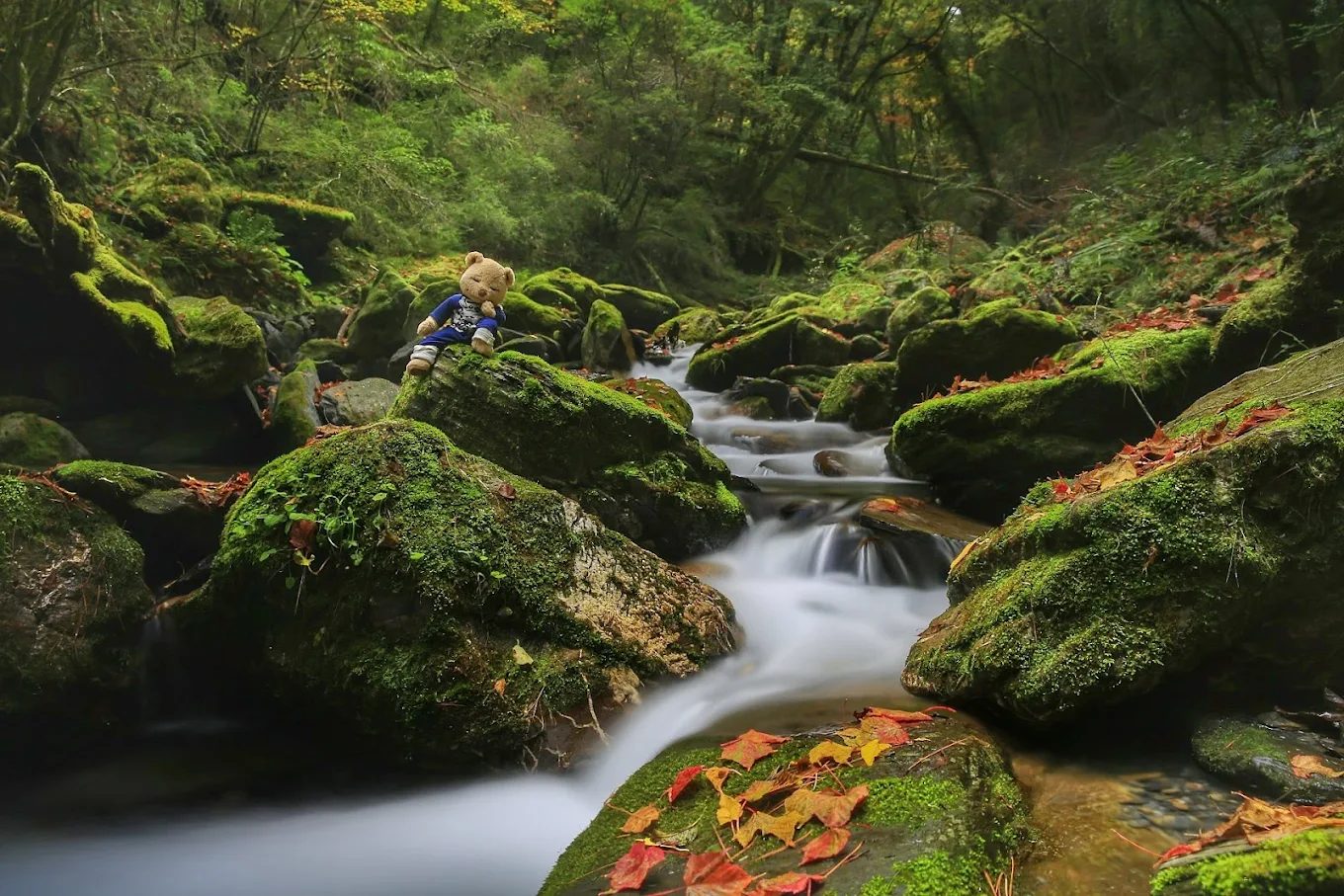 【清境觀星住宿推薦】31 民宿｜與星空、雲海、多肉花園相伴的山居時光