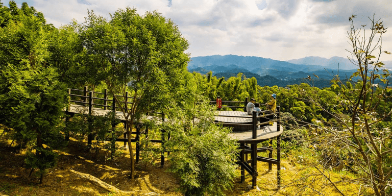 城市之外不必太遠，大坑風景區就在身旁，用最自然的方式讓人離開日常