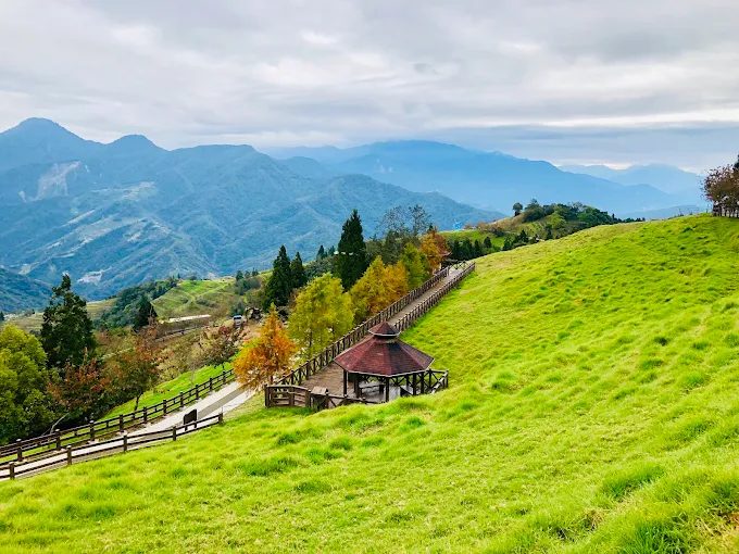 2025最新清境農場攻略|青青草原、合歡山順遊、在地美食一次整理