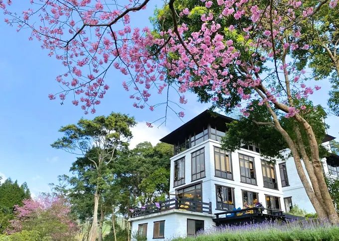 新竹親子景點推薦｜5大必玩樂園農場，孩子放電一整天！