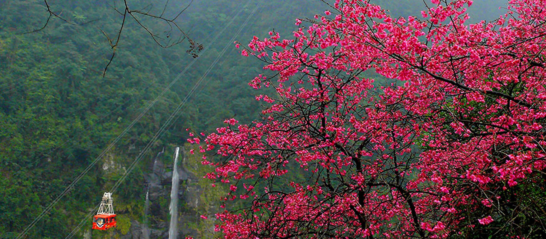 走進烏來瀑布看水霧輕落與陽光交錯，再順著山路去老街找回熟悉的味道
