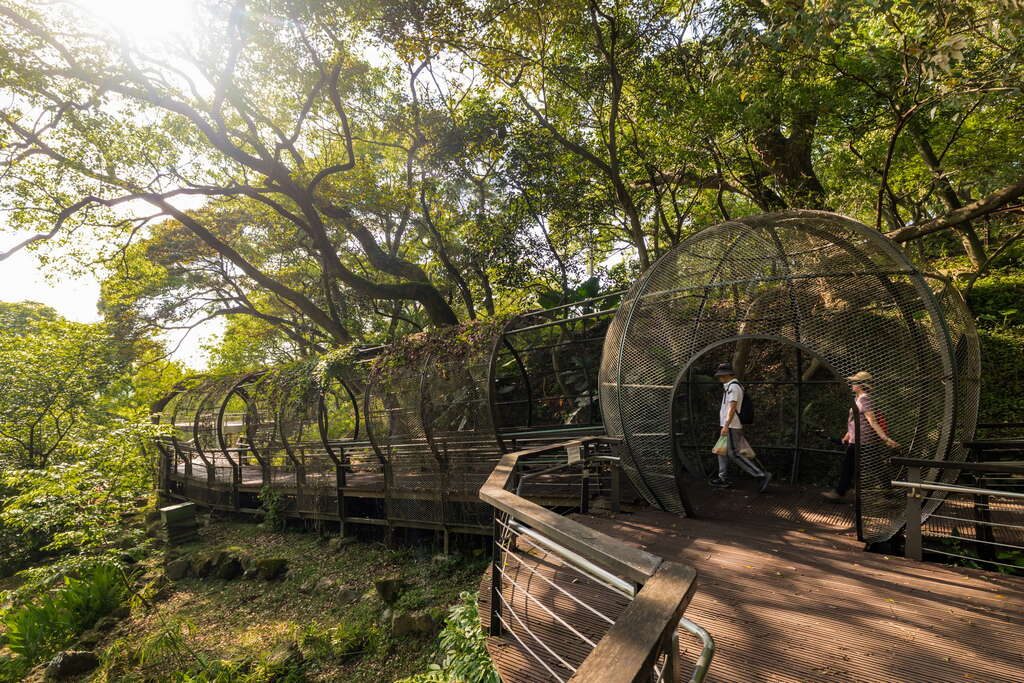 桃園景點TOP5｜大溪老街、虎頭山夜景、龍潭大池與夕陽濕地一次看
