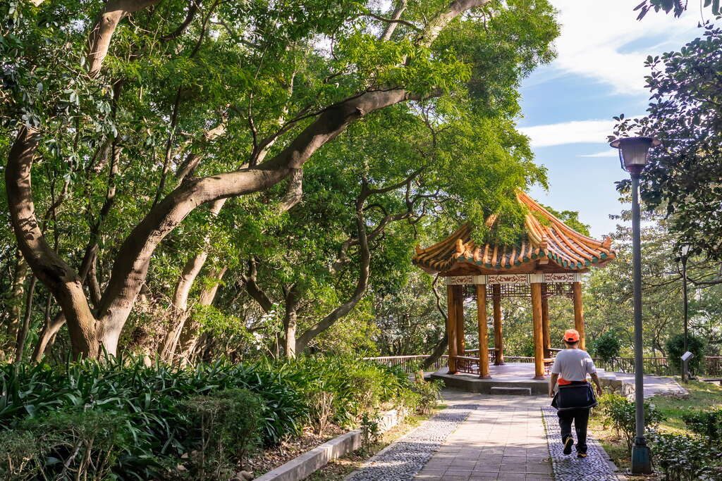 桃園景點TOP5｜大溪老街、虎頭山夜景、龍潭大池與夕陽濕地一次看