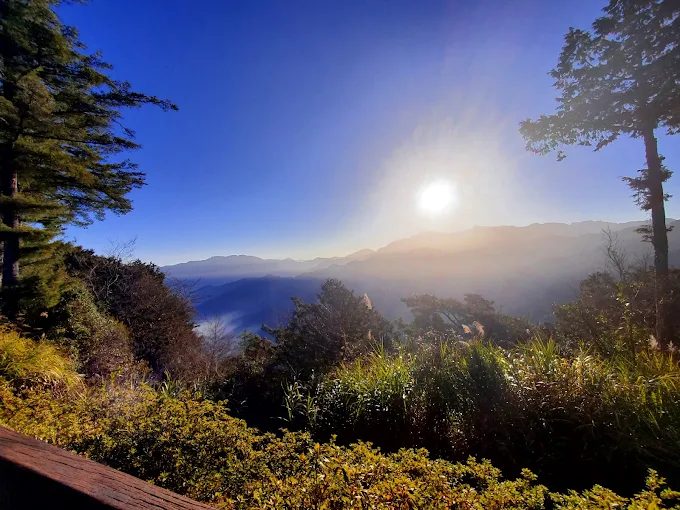 清晨走進阿里山國家森林遊樂區追一場日出雲海,在森林與鐵道之間慢慢醒來