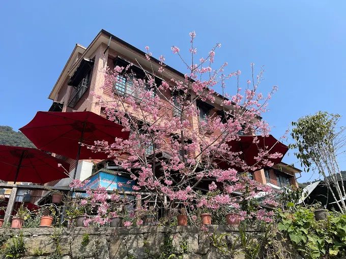 奮起湖住宿全攻略|2025最新推薦5大飯店&民宿,老街步行可達超方便!