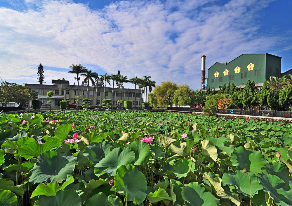 台東必訪海岸景點TOP5｜自然美景與文創打卡熱點一次收錄