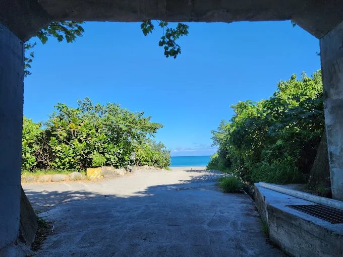 東海岸太麻里旅遊必看！金崙觀景台、櫻木花道平交道、秘境沙灘一次收錄