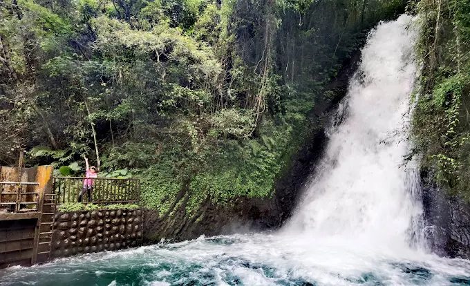 秋冬限定必拍！南投銀杏林＋溪頭森林療癒路線，搭配日月潭月牙灣超浪漫