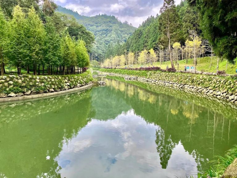 杉林溪的最佳旅遊指南：探索台灣美麗的杉林溪